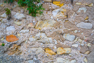 Vegetation on the wall. Medieval city ruins. Castle and city walls. Texture.
