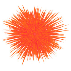 Spring Red Flower Isolated on White Backround