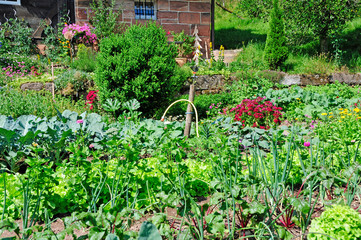 Bauerngarten