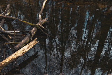 Background of trees mirrored on rippled water surface with part of beaver dam.