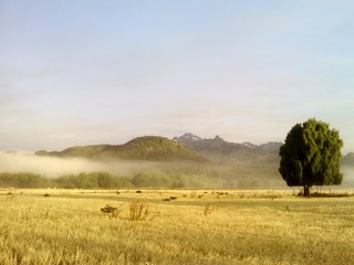 Fototapeta na wymiar Niebla de amanecer en la Patagonia Argentina