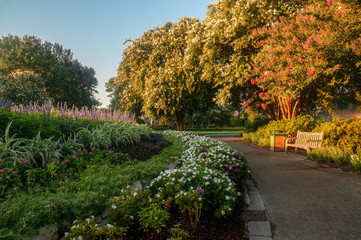 Scene From the Dallas Arboretum