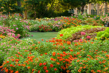 Blooming Garden in the Dallas Arboretum