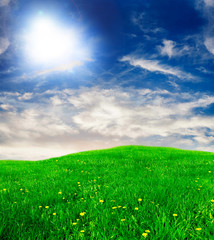Summer Concept: beautiful colorful meadow and a sunny blue sky