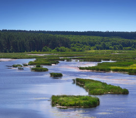 View on Bistrivka lake in Radomysl
