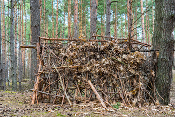 Bushcraft shelter on the hill in forrest builded from wooden forest sticks