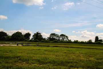 Fototapeta premium Normandy, France; 4 June 2014: Azeville battery. Placement of German batteries during the Second World War in Normandy, France.