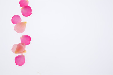 ばらのイメージ