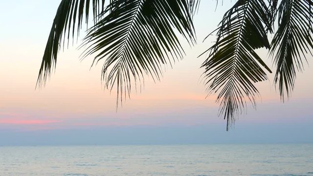 Palm trees frame the ocean horizon under a distant pink sky.