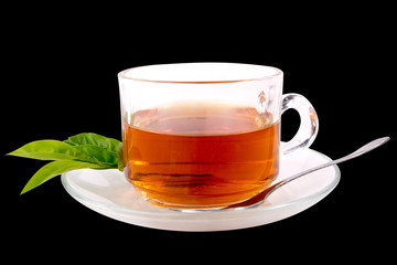 cup with tea and green leaf