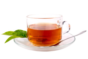 cup with tea and green leaf