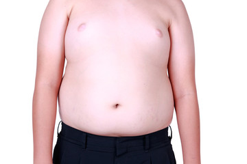 Naklejka premium fat boy