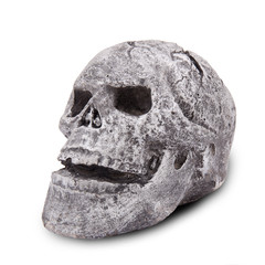 stylized skull  on a white background