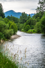 nature around glacier national park on cloudy day