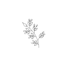 Black and white graphic hand-drawn floral illustration for your print logo postcard design.
