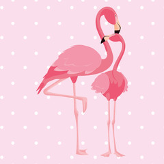 elegant flamingo birds couple dotted background