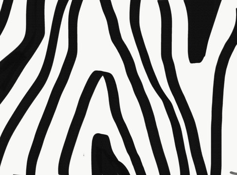 black brush lines on white background, imitation of zebra color. raster illustration for poster design and formatting. presentations, flyers.