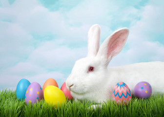 Profile portrait view of one white albino bunny rabbit laying in grass with decorated Easter eggs. Blue painterly sky background.