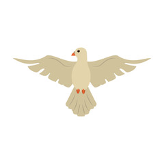 Dove peace bird cartoon