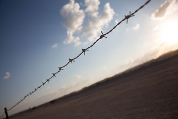 Cars on the race track and on the roads of the desert