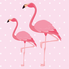 elegant flamingo birds couple dotted background