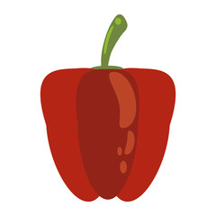 Pepper fresh vegetable isolated