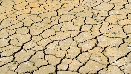 Dry cracked ground