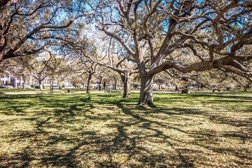 Obraz premium Charleston south carolina historic architecture
