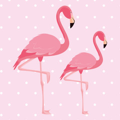 elegant flamingo birds couple dotted background