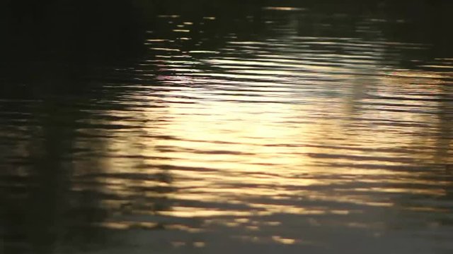 &Aacute;guas na l&aacute;goa ao fim da tarde