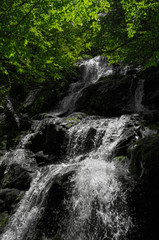 Profile view of waterfall with dark rocks and tree in background.