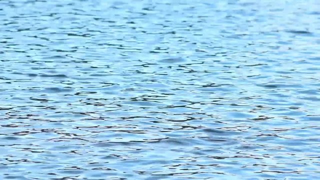 &Aacute;guas rasas no lago 