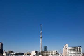 Obraz premium 東京スカイツリーと住宅街