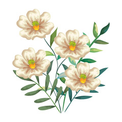 beautiful flowers and leafs decoration