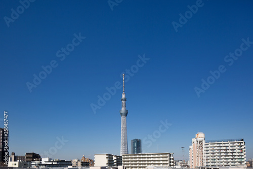 東京スカイツリーと住宅街 Wall Mural Wallpaper Murals Moonrise 東京スカイツリーと住宅街 Wall Mural Wallpaper Murals Moonrise