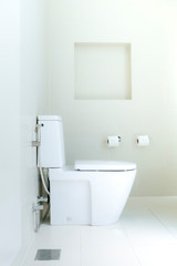 Fototapeta na wymiar flush toilet with tissue paper hanging on the wall