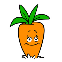 Merry carrot character vegetable cartoon illustration isolated image