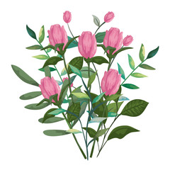 Fototapeta premium beautiful roses and leafs decoration