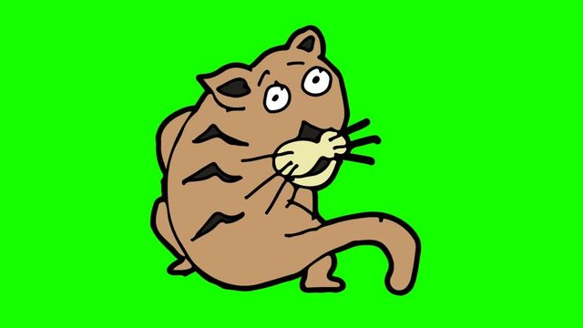 kids drawing green screen with theme of cat
