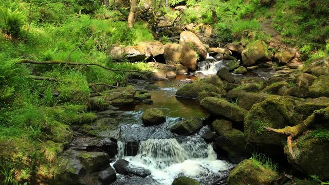 Picturesque cascade on Burbage Brook in the Padley Gorge forest, Peak District, England. Slow zoom.