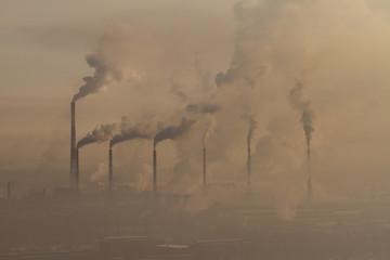 the plant with smoke and dirty air-pollution