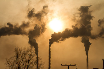 the plant with smoke and dirty air-pollution