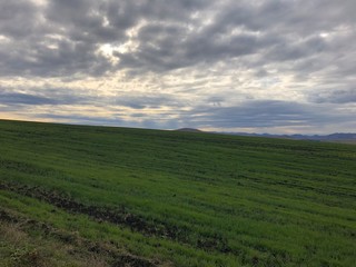 Obraz premium Алтай