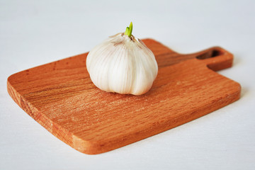 Garlic. Vitamin healthy food spice image. Spicy cooking ingredient picture. Concept of healthy food.