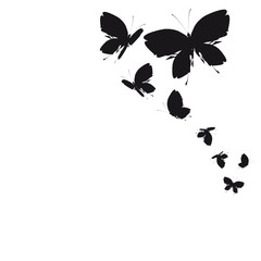 Fototapeta premium 1952