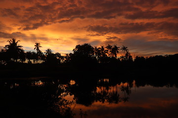 Obraz premium The Sunset