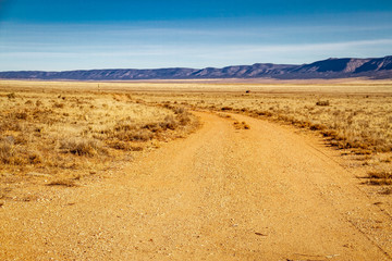 Fototapeta na wymiar A dirt road in the desert that curves as it moves away from the viewer.