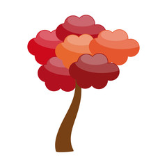 Tree with autumn leaves