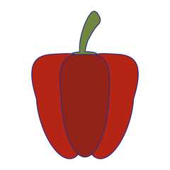 Pepper fresh vegetable isolated blue lines