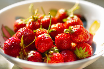 strawberries in a white plate in the sunshine closeup